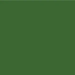 image #1 of תרסיס צבע מבוסס מים GO PAINT - ירוק אמרלד - 400 מ''ל