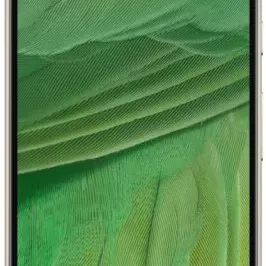 image #4 of טלפון סלולרי Google Pixel 7 8GB+128GB - צבע Lemongrass - שנה אחריות ע''י סל נאו